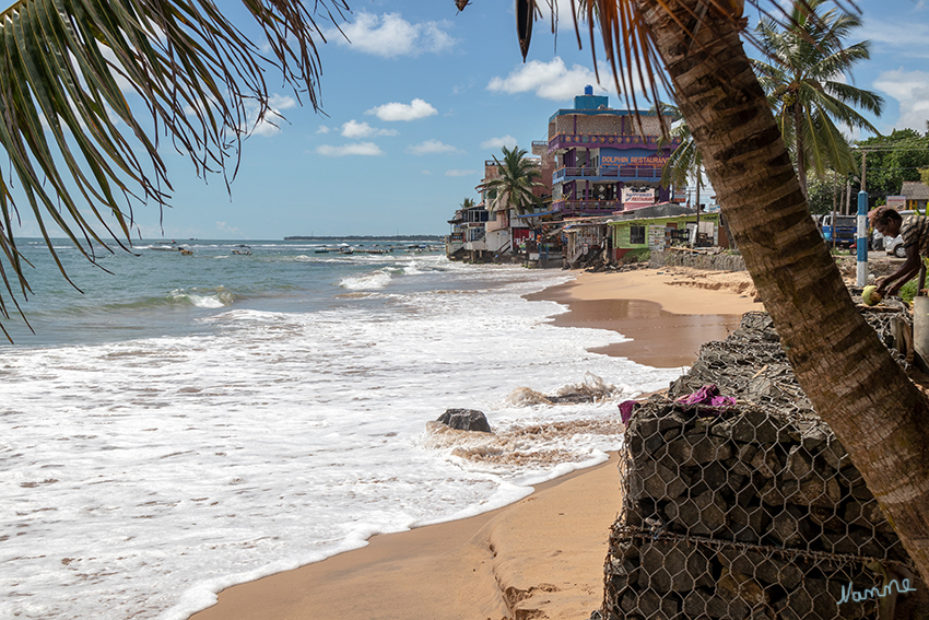 Zwischen Ahungalla und Galle
Fahrtimpressionen
Schlüsselwörter: Sri Lanka,   Galle