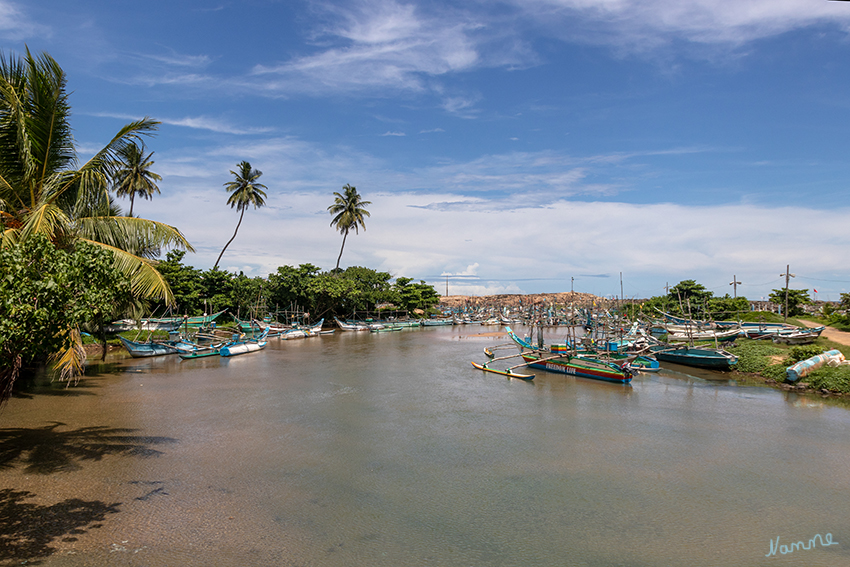 Kleiner Fischerhafen
Fahrtimpressionen
Schlüsselwörter: Sri Lanka,   Galle