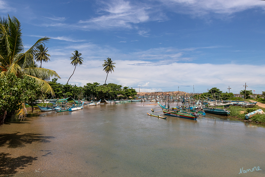 Kleiner Fischerhafen
Fahrtimpressionen
Schlüsselwörter: Sri Lanka,   Galle