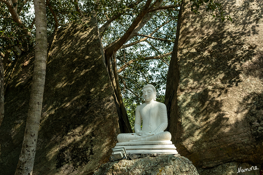 Yapahuwa
Am Fuße der Ostseite des Felsens befindet sich das heutige Kloster Yapawwa Rajamaha Vihara (Foto), was "Yapahuwa Königs-Großkloster" bedeutet. Neben dem Nationalen Archäologischen Department widmet sich auch dieses Kloster der Pflege der gesamten Ausgrabungsstätte. 
Schlüsselwörter: Sri Lanka, Yapahuwa