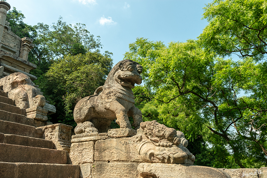 Yapahuwa
Die Yapahuwa Lion Steinskulptur (erscheint auf dem ehemaligen 10- Rupien- Schein). laut Wikipedia
Schlüsselwörter: Sri Lanka, Yapahuwa