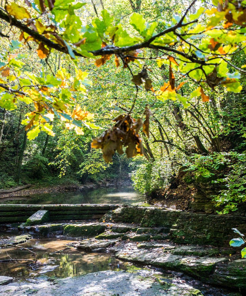 Herbstlich "Herbstwald"
Karl-Heinz
Schlüsselwörter: 2021