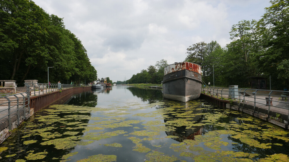 Fotoausflug am 24.06 2021 "Motorschiff Phenol"
Norbert
Schlüsselwörter: 2021