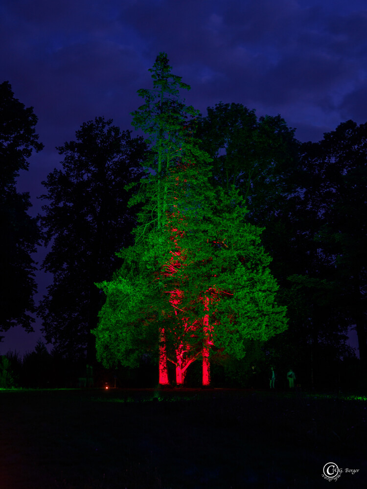 Lichtfestival Schloss Dyck Rot Grün Blau
Gerd
Schlüsselwörter: 2021