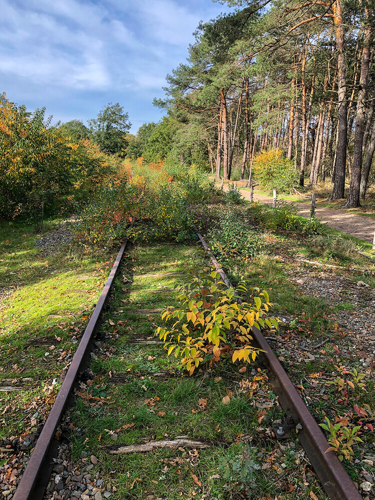 Nationalpark De Meinweg "Der Weg ins Nichts"
Jo
Schlüsselwörter: 2022