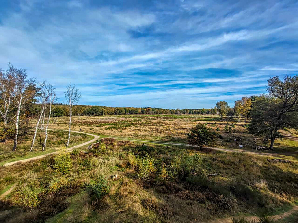 Nationalpark De Meinweg "Blick vom Aussichtsturm"
Manni
Schlüsselwörter: 2022