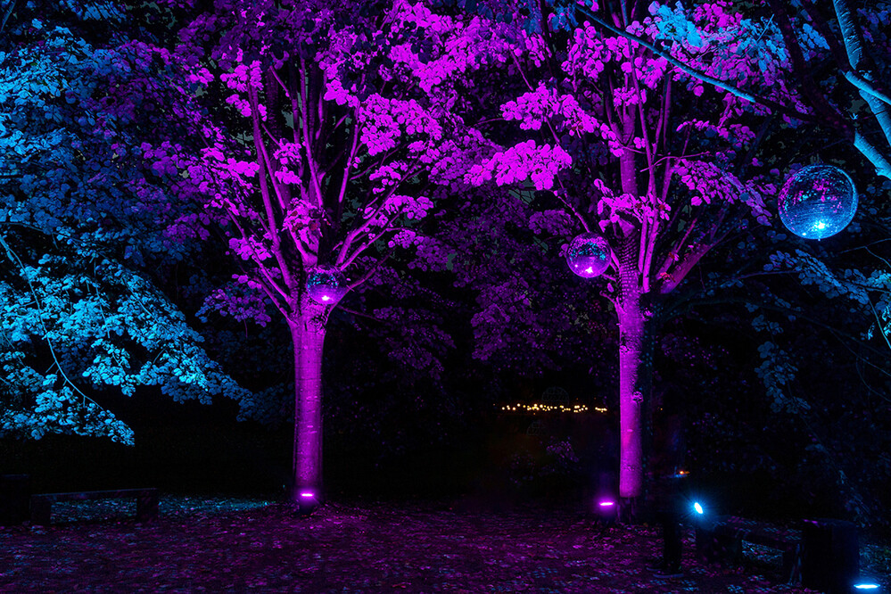 Lichtfestival Schloss Dyck Discokugeln
Marianne
Schlüsselwörter: 2021