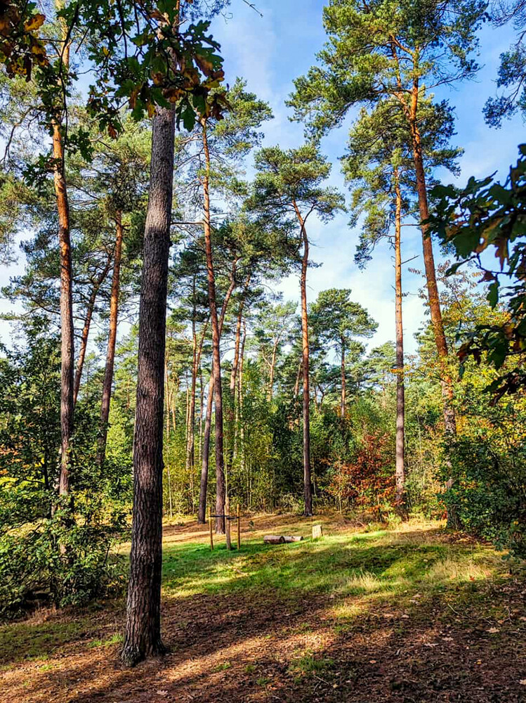 Nationalpark De Meinweg "Lichteinfall"
Manni
Schlüsselwörter: 2022