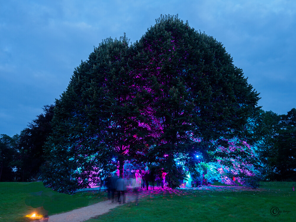 Lichtfestival Schloss Dyck bunte Bäume
Gerd
Schlüsselwörter: 2021