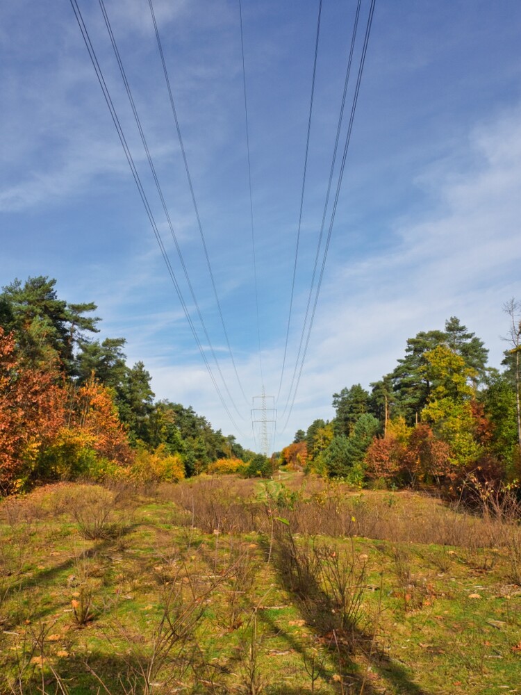 Nationalpark De Meinweg "Stromtrasse"
Gerd
Schlüsselwörter: 2022