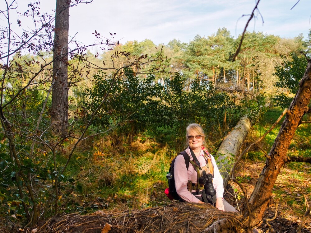 Nationalpark De Meinweg "Vordergrund"
Gerd
Schlüsselwörter: 2022