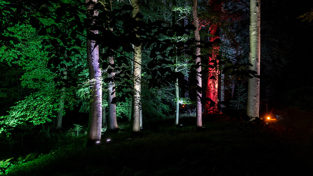 Lichtfestival Schloss Dyck Bäume
Marianne
Schlüsselwörter: 2021