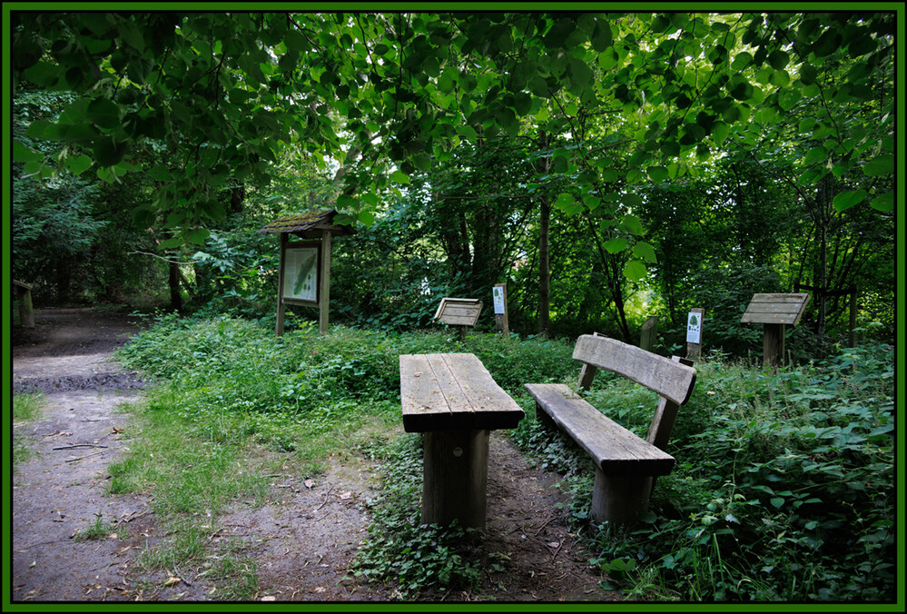 Naturaufnahmen "Waldesruh"
Elise
Schlüsselwörter: 2024