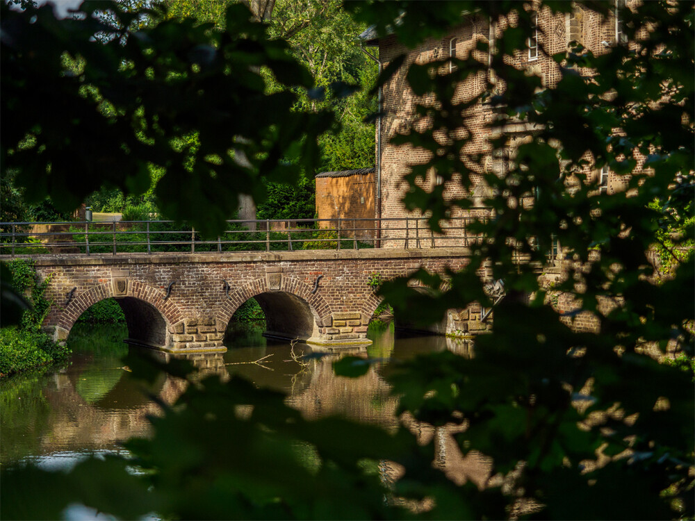 Brücken und Stege "Brücke zum Schloss"
Gerd
Schlüsselwörter: 2022