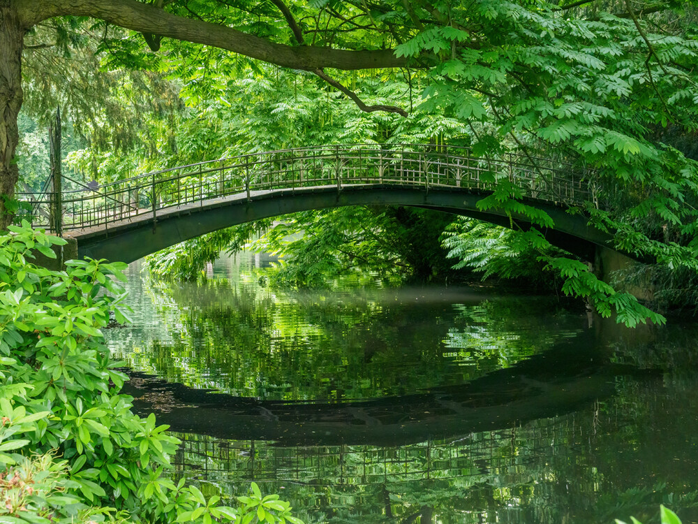 Brücken und Stege "Die Brücke für mich"
Gerd
Schlüsselwörter: 2022