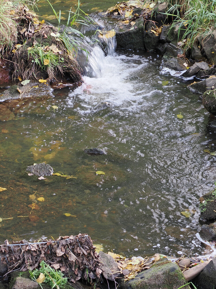 Rund um Bach, Fluss, Kanal und See "Little Niagara"
Gerd
Schlüsselwörter: 2024