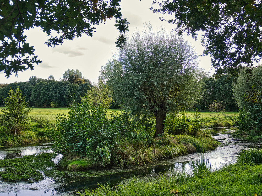 Landschaften "Niederrhein 1"
Gerd
Schlüsselwörter: 2022