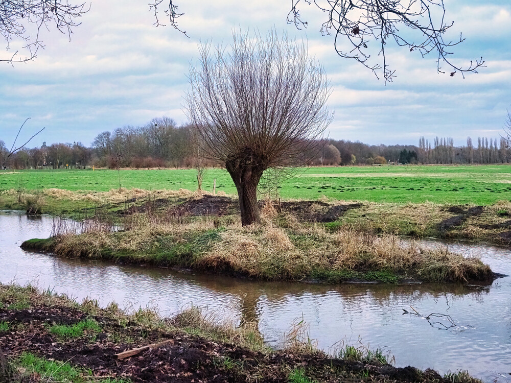 Februarfoto "Niederrheinidylle"
Gerd
Schlüsselwörter: 2022