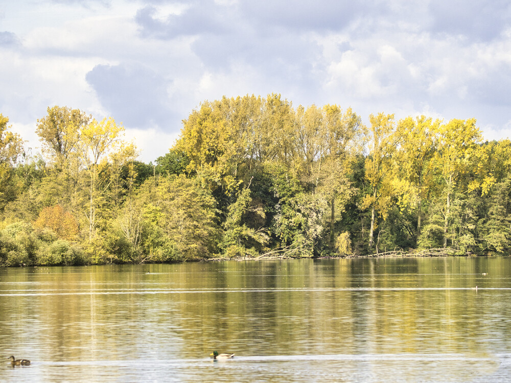 Herbstlich "Herbst am See"
Gerd
Schlüsselwörter: 2021