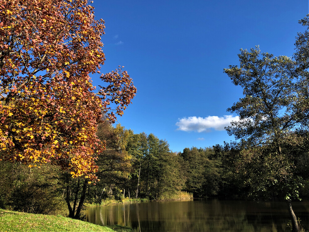 Herbstlich "Am kleinen See"
Karl-heinz
Schlüsselwörter: 2021