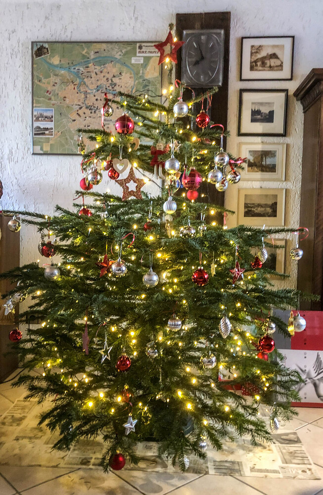 Dezemberfotos "Tannenbaum"
Karl-Heinz
Schlüsselwörter: 2021