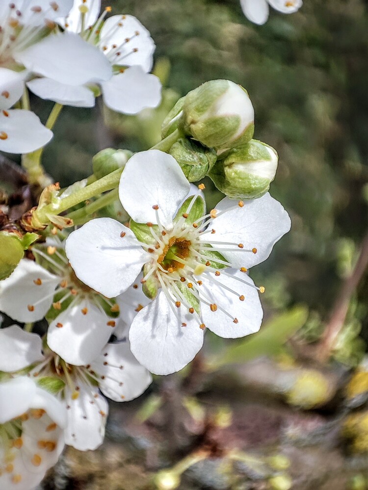 Frei "Bienen-Futterstation hat geöffnet"
Manni
Schlüsselwörter: 2024