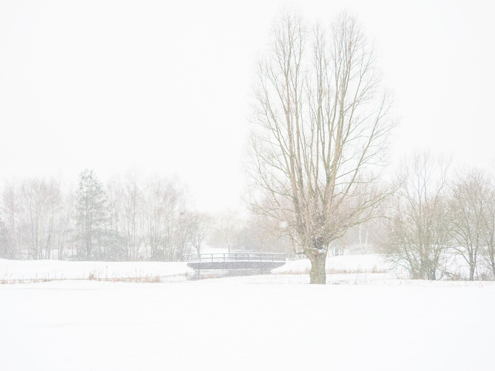 Landschaft
Gerd
