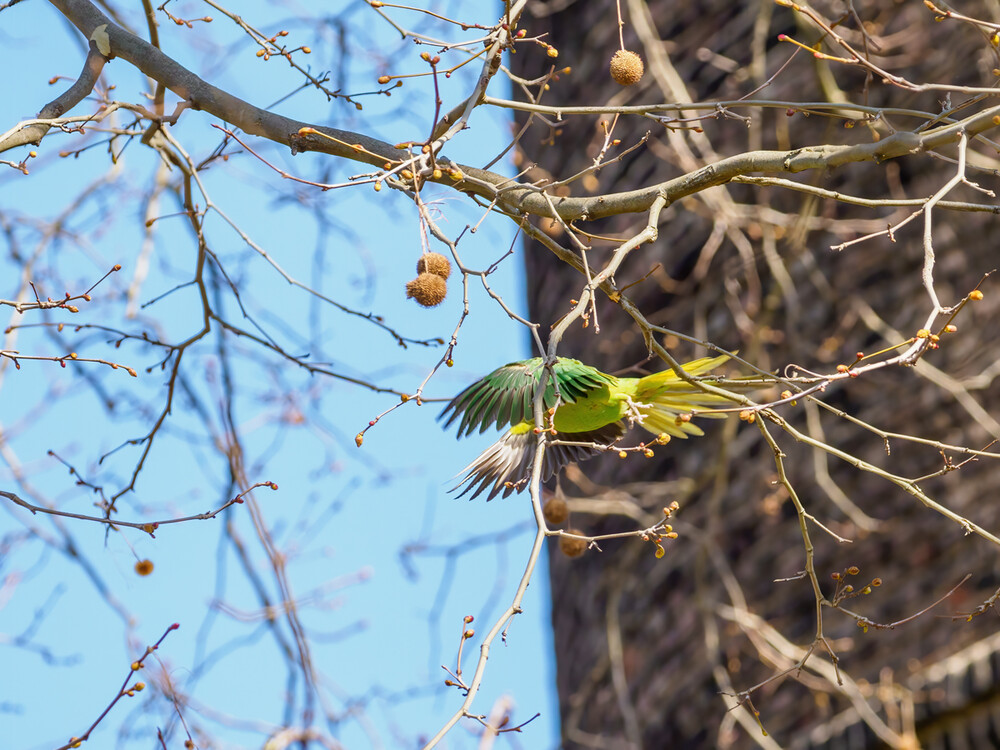 Wir dürfen wieder fliegen
Gerd
