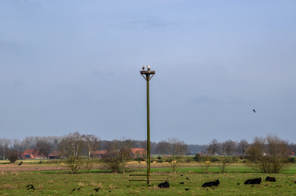 Frei "Bauernschaft"
Perla
Schlüsselwörter: 2024