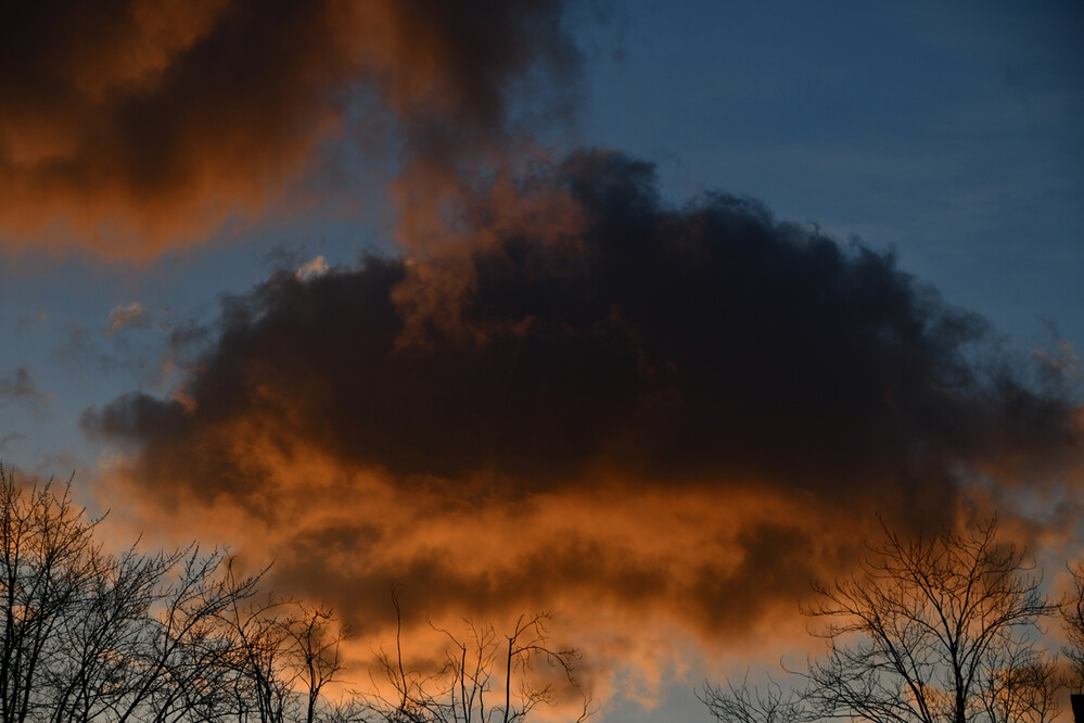 Frei "Orange Wolken"
Roland
Schlüsselwörter: 2023