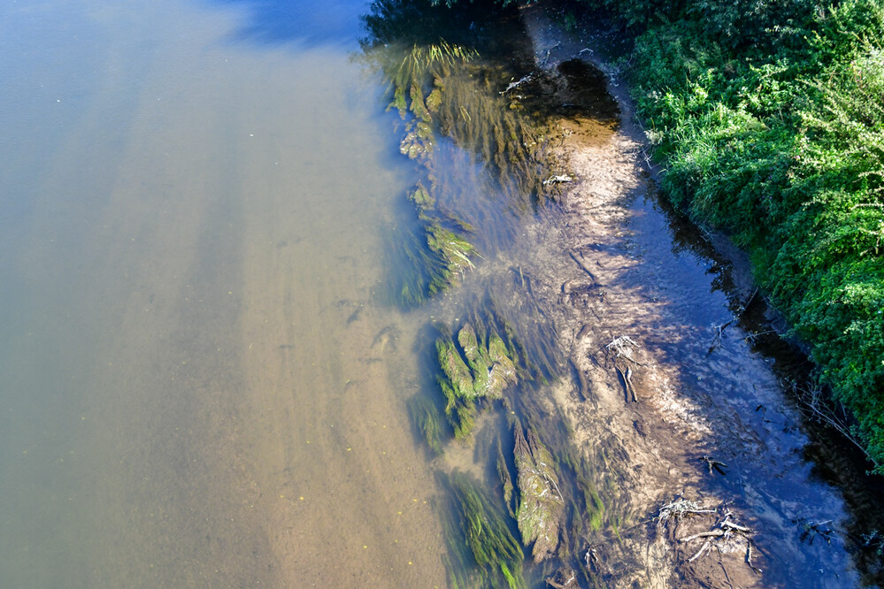 Rund um Bach, Fluss, Kanal und See "Uferzone"
Roland
Schlüsselwörter: 2024