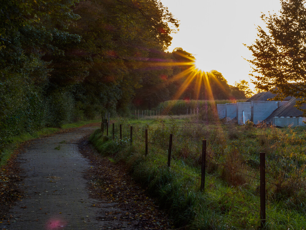 Herbstlich "Sonnenuntergang über Grefrath"
Gerd
Schlüsselwörter: 2021