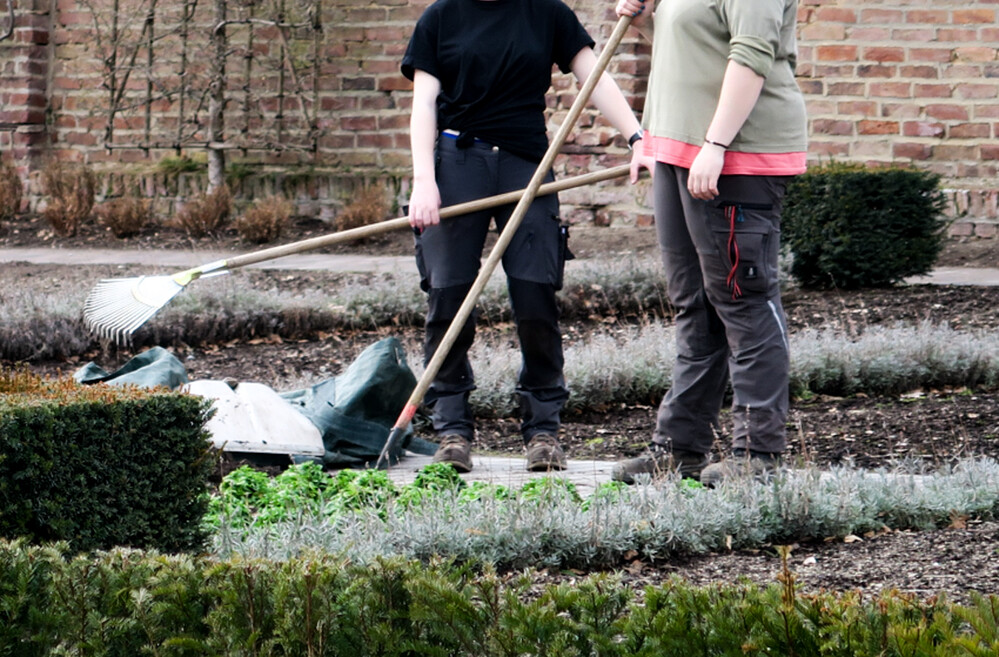 Frühlingserwachen "Frühlingsbeete anlegen"
Verena
Schlüsselwörter: 2021