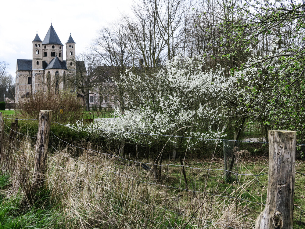 Frei "Kloster Knechtsteden"
Verena
Schlüsselwörter: 2024