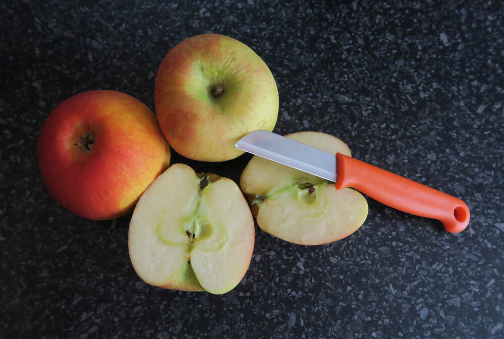 Obst und Gemüse "Äpfel nachher"
Verena
Schlüsselwörter: 2021