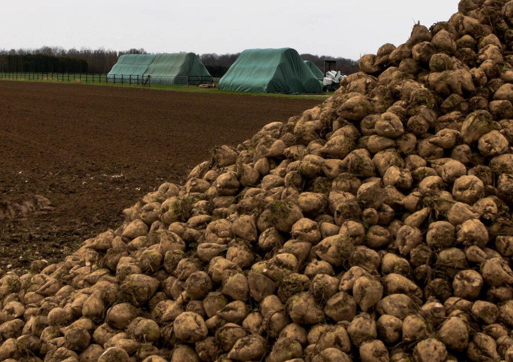 Weitwinkel "Für den Winter bereit"
Verena
Schlüsselwörter: 2021