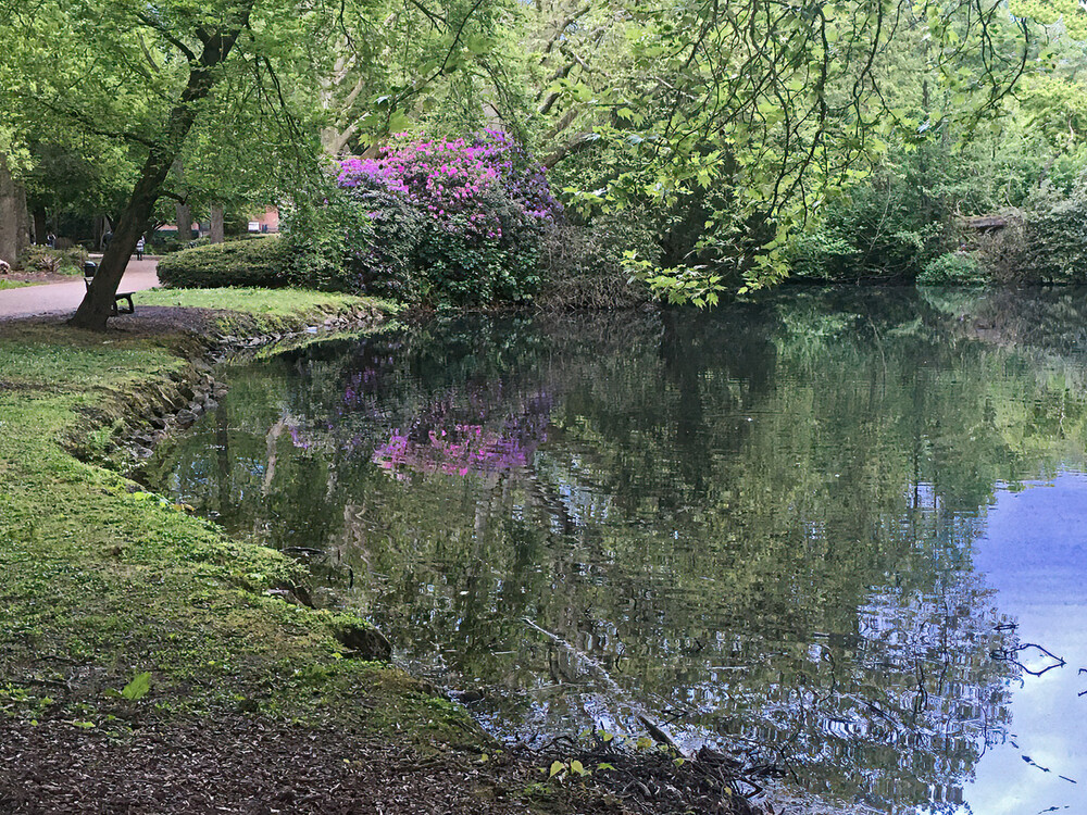 Spiegelung "Rhododendron"
Gerd
Schlüsselwörter: 2021