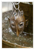 Dateiname=05_Aachen_Puppenbrunnen.jpg
Dateigröße=644KB
Abmessungen: 832x1200
hinzugefügt am: 30. April 2023 05_Aachen_Puppenbrunnen.jpg