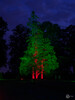 Dateiname=10_Gerd_Lichtfestival_Schloss_Dyck_Rot_Gruen_Blau.jpg
Dateigröße=840KB
Abmessungen: 900x1200
hinzugefügt am: 18. September 2021 10_Gerd_Lichtfestival_Schloss_Dyck_Rot_Gruen_Blau.jpg