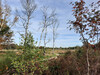 Dateiname=10_Ralf_Mein_Weg.jpg
Dateigröße=1280KB
Abmessungen: 1200x900
hinzugefügt am: 03. November 2022 10_Ralf_Mein_Weg.jpg