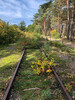 Dateiname=11_Jo_Der_Weg_ins_nichts_ll.jpg
Dateigröße=1611KB
Abmessungen: 900x1200
hinzugefügt am: 03. November 2022 11_Jo_Der_Weg_ins_nichts_ll.jpg