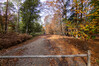 Dateiname=13_Marianne_Ich_bin_schon_hier.jpg
Dateigröße=1674KB
Abmessungen: 1200x800
hinzugefügt am: 03. November 2022 13_Marianne_Ich_bin_schon_hier.jpg