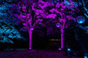 Dateiname=13_Marianne_Lichtfestival_Schloss_Dyck_Discokugeln_.jpg
Dateigröße=1418KB
Abmessungen: 1200x800
hinzugefügt am: 18. September 2021 13_Marianne_Lichtfestival_Schloss_Dyck_Discokugeln_.jpg