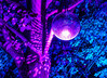 Dateiname=14_Verena_Lichtfestival_Schloss_Dyck_Lila_und_Blau.jpg
Dateigröße=376KB
Abmessungen: 1200x870
hinzugefügt am: 18. September 2021 14_Verena_Lichtfestival_Schloss_Dyck_Lila_und_Blau.jpg