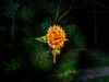 Dateiname=17_Sonnenblume.jpg
Dateigröße=964KB
Abmessungen: 1200x900
hinzugefügt am: 28. September 2021 17_Sonnenblume.jpg