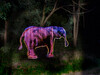 Dateiname=1_Elefant.jpg
Dateigröße=1052KB
Abmessungen: 1200x900
hinzugefügt am: 28. September 2021 1_Elefant.jpg