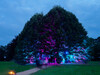 20_Gerd_Lichtfestival_Schloss_Dyck_bunte_Baeume.jpg