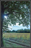 Dateiname=22_Elise_-_Herbststimmung.jpg
Dateigröße=1379KB
Abmessungen: 775x1200
hinzugefügt am: 03. November 2022 22_Elise_-_Herbststimmung.jpg