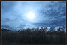 Dateiname=29_Elise_-Sonnenuntergang.jpg
Dateigröße=1198KB
Abmessungen: 2000x1335
hinzugefügt am: 03. November 2022 29_Elise_-Sonnenuntergang.jpg