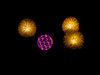 Dateiname=7_Gerd_Lichtfestival_Schloss_Dyck_Blumen.jpg
Dateigröße=308KB
Abmessungen: 1200x900
hinzugefügt am: 18. September 2021 7_Gerd_Lichtfestival_Schloss_Dyck_Blumen.jpg